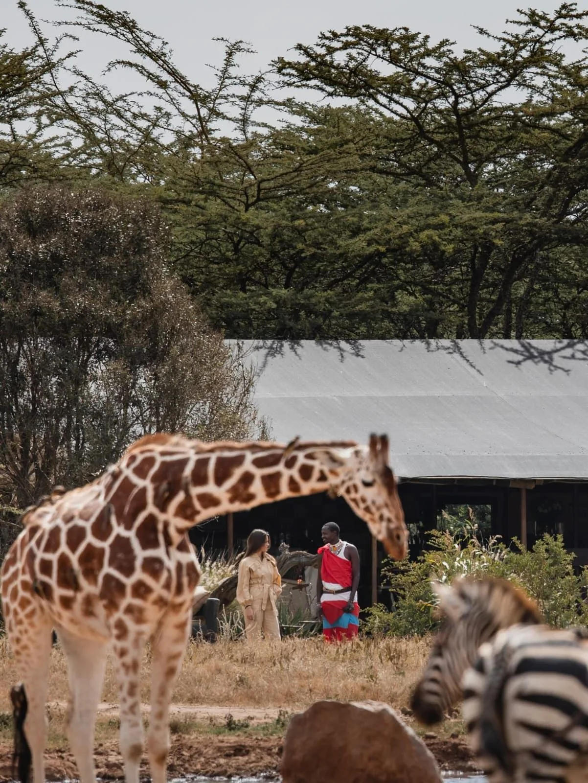 Laikipia Conservancy Expedition