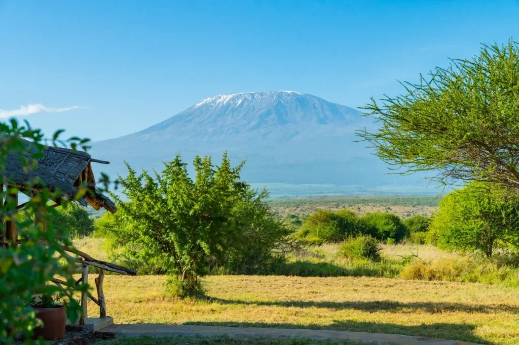 Amboseli and Chyulu Elephant Safari safari