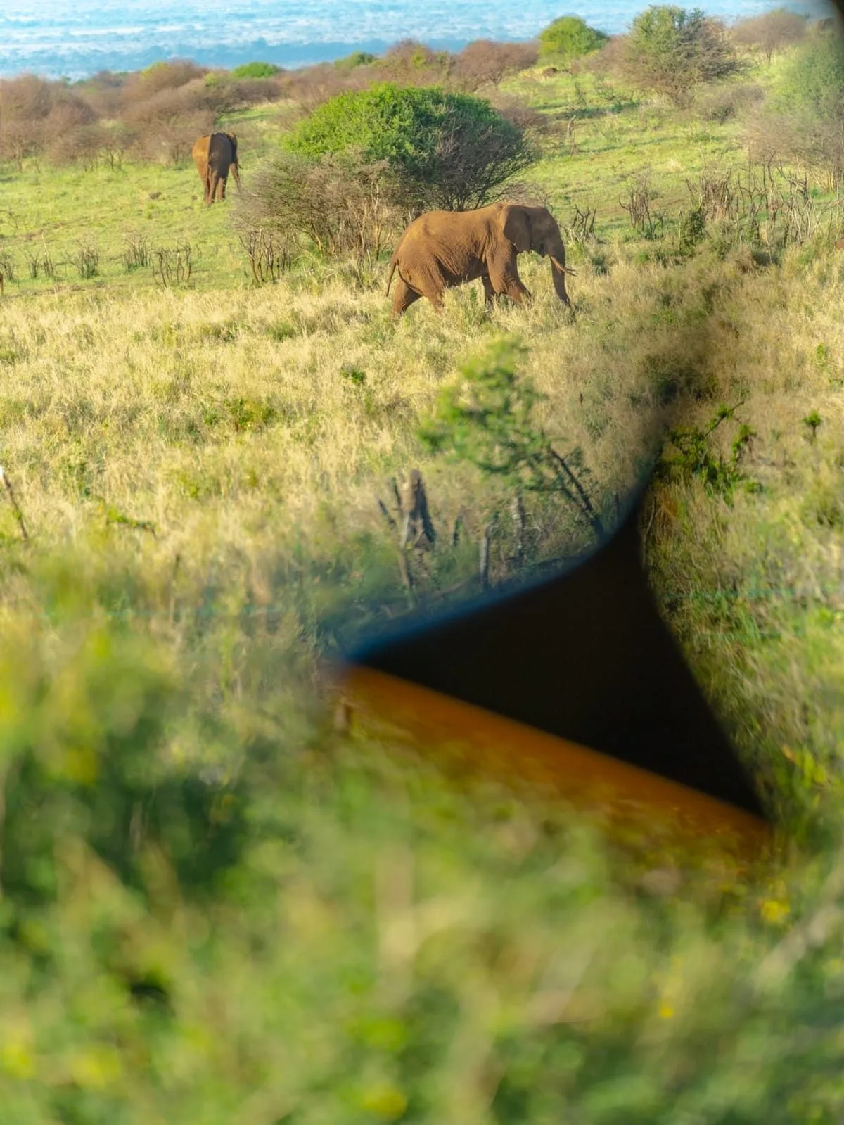 Amboseli and Chyulu Elephant Safari highlights