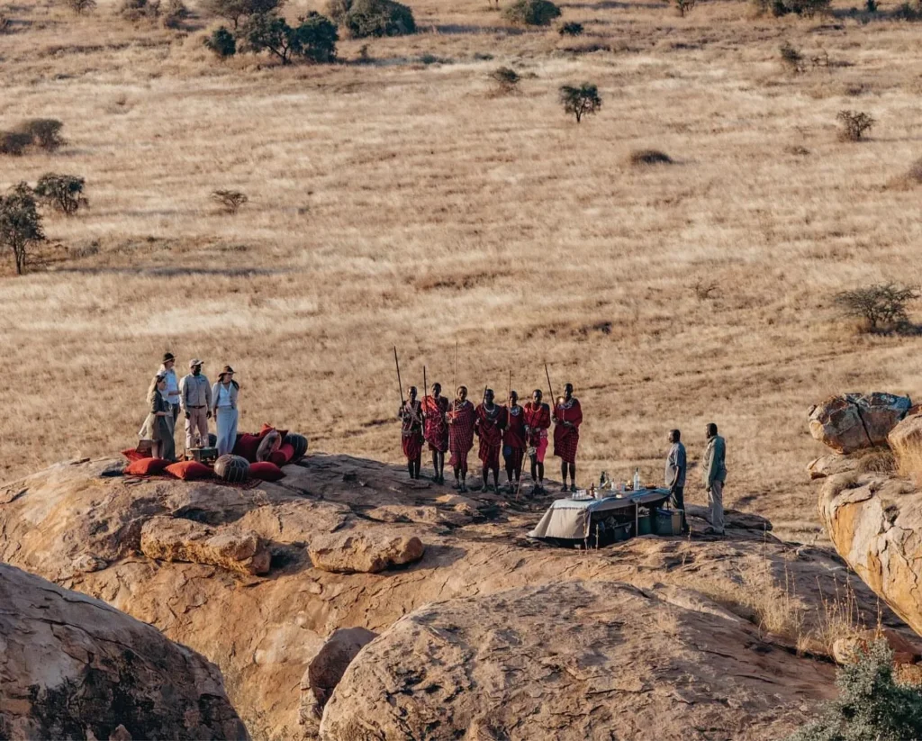 Begin your safari journey