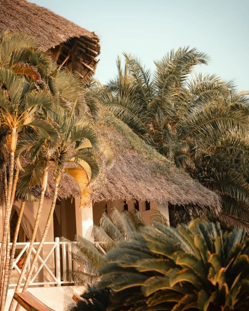 Diani Beach and Dolphin Galu Retreat safari