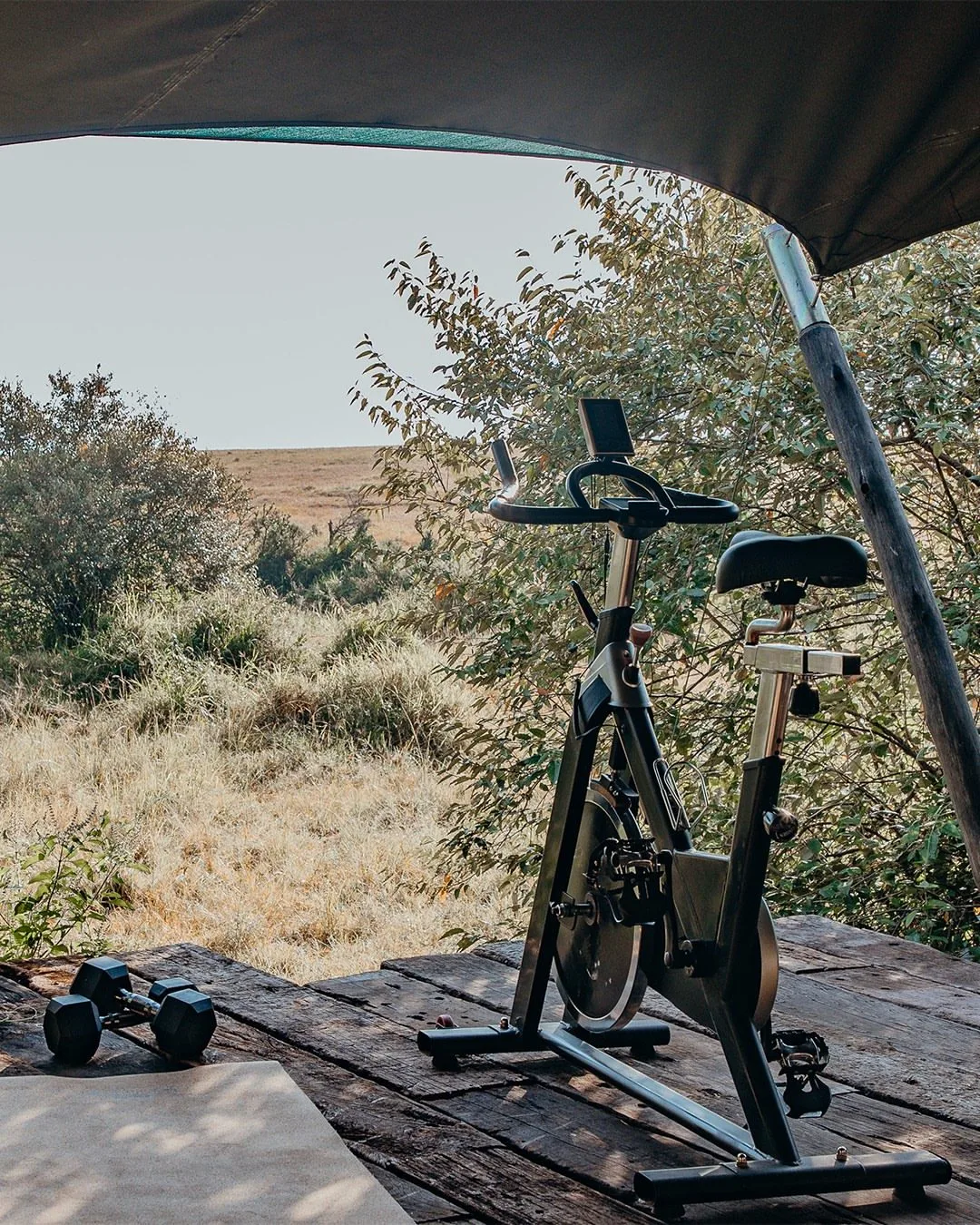 East Africa’s Golden Savannahs highlights
