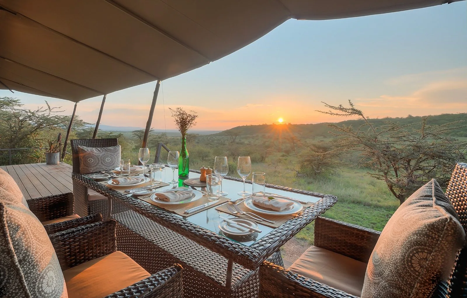 Begin your safari journey