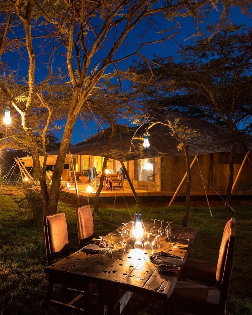 Masai Mara Private Safari highlights