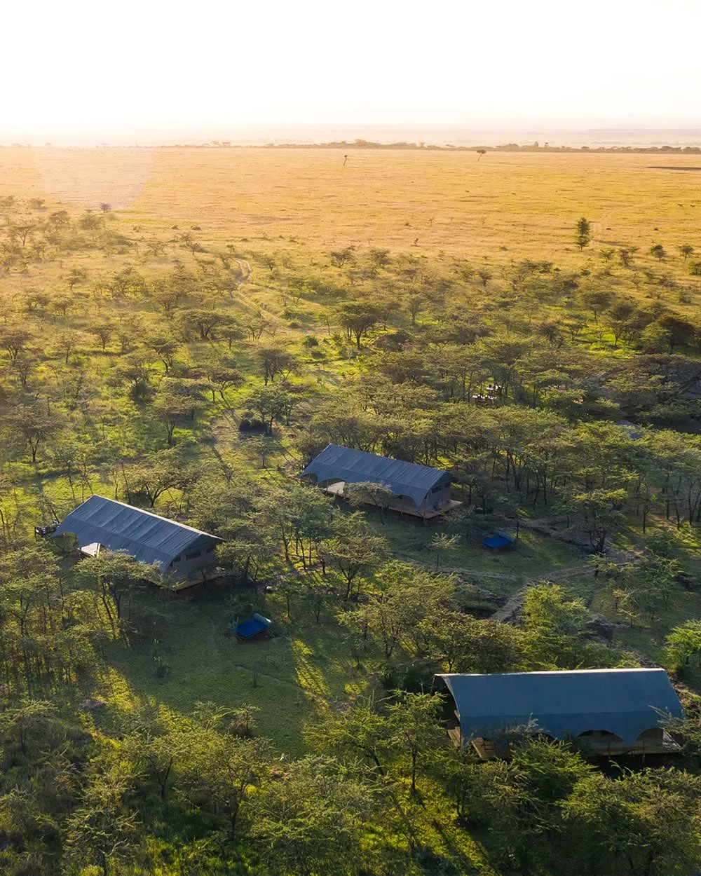Kenya safari planning