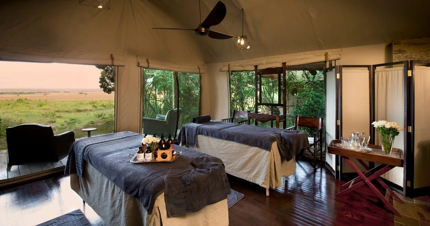 Begin your safari journey