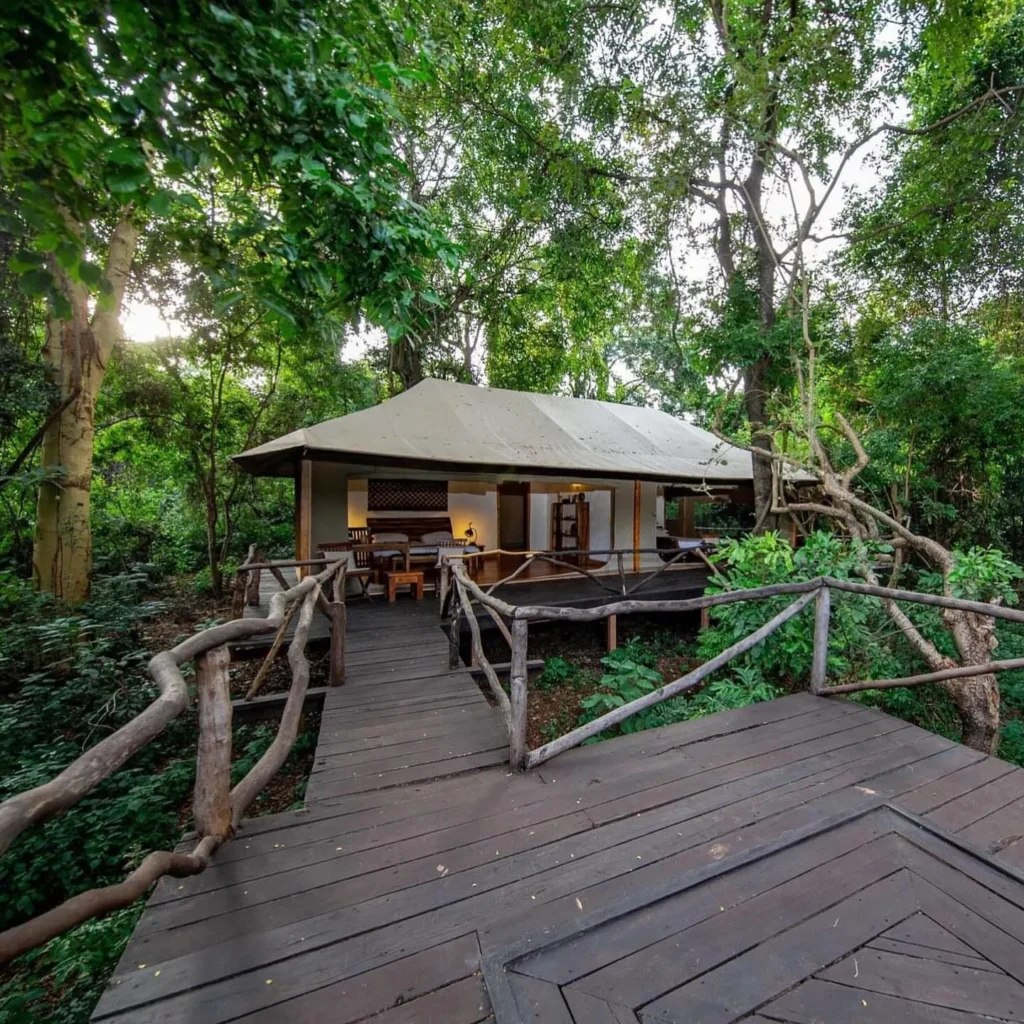 Meru Born Free Safari itinerary