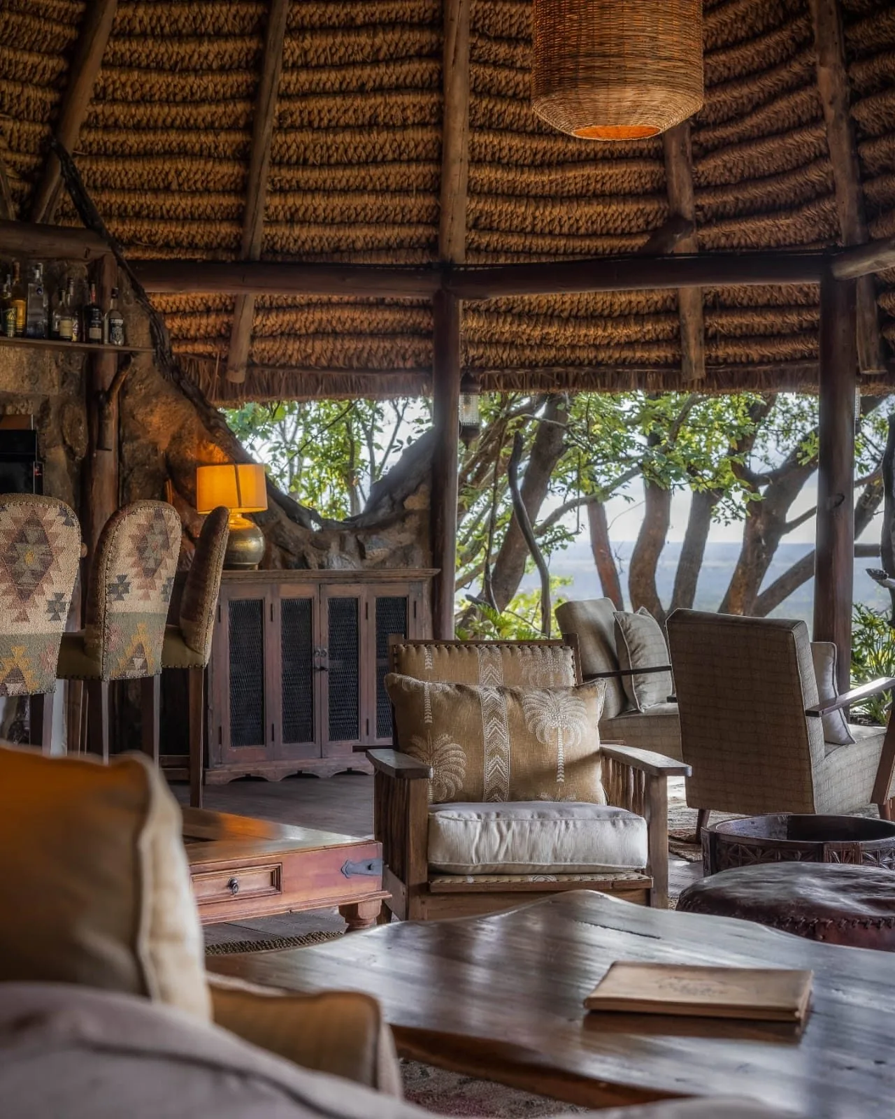 Begin your safari journey
