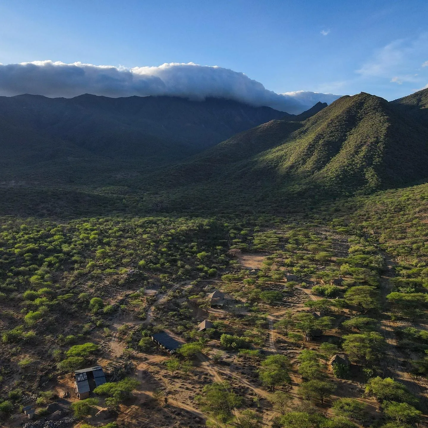 Kenya safari planning
