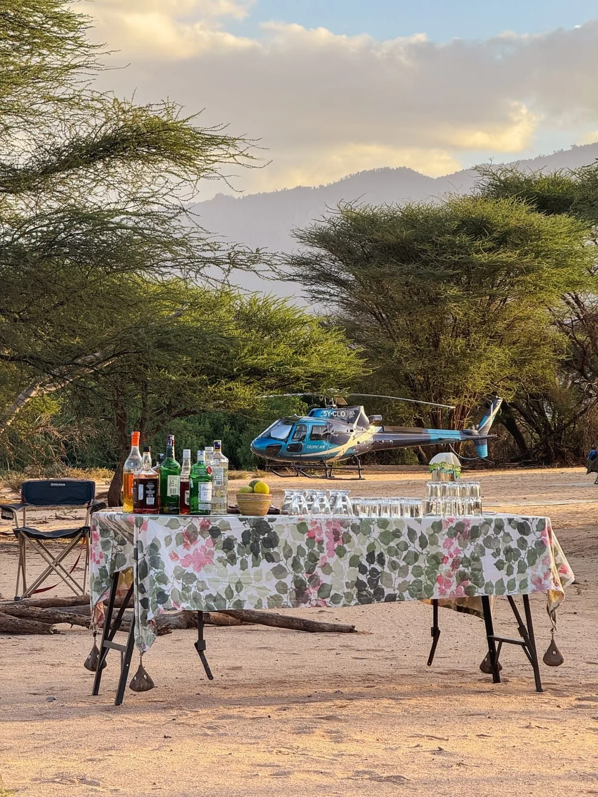Begin your safari journey