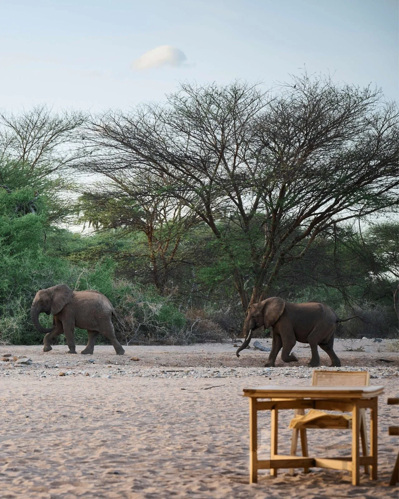 Northern Kenya & Samburu