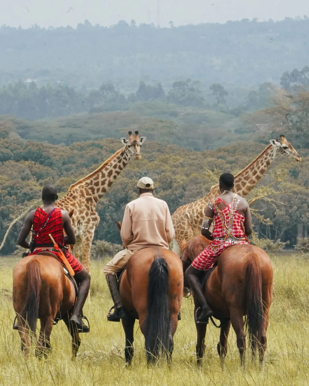 Wild Experiences Private Safari Menu