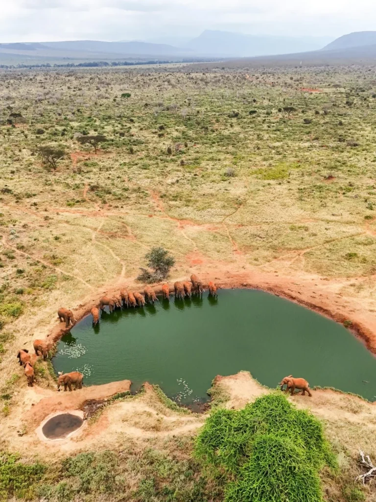Tsavo and Lumo Red Earth Safari safari