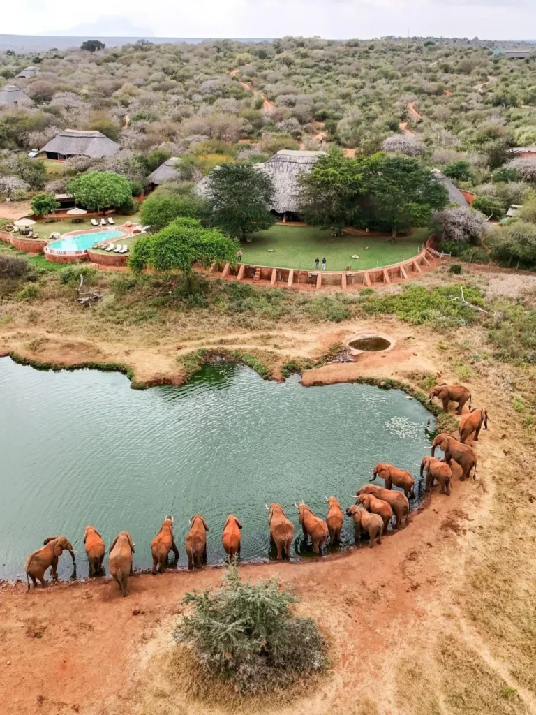 Tsavo and Lumo Red Earth Safari