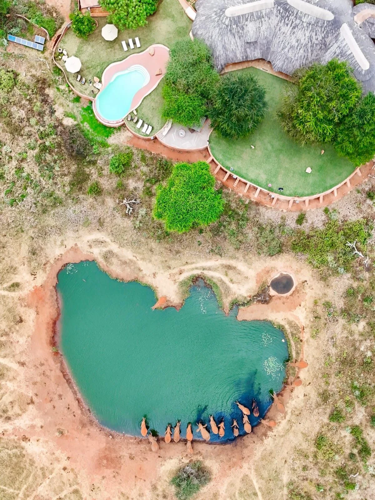 Tsavo and Lumo Red Earth Safari itinerary