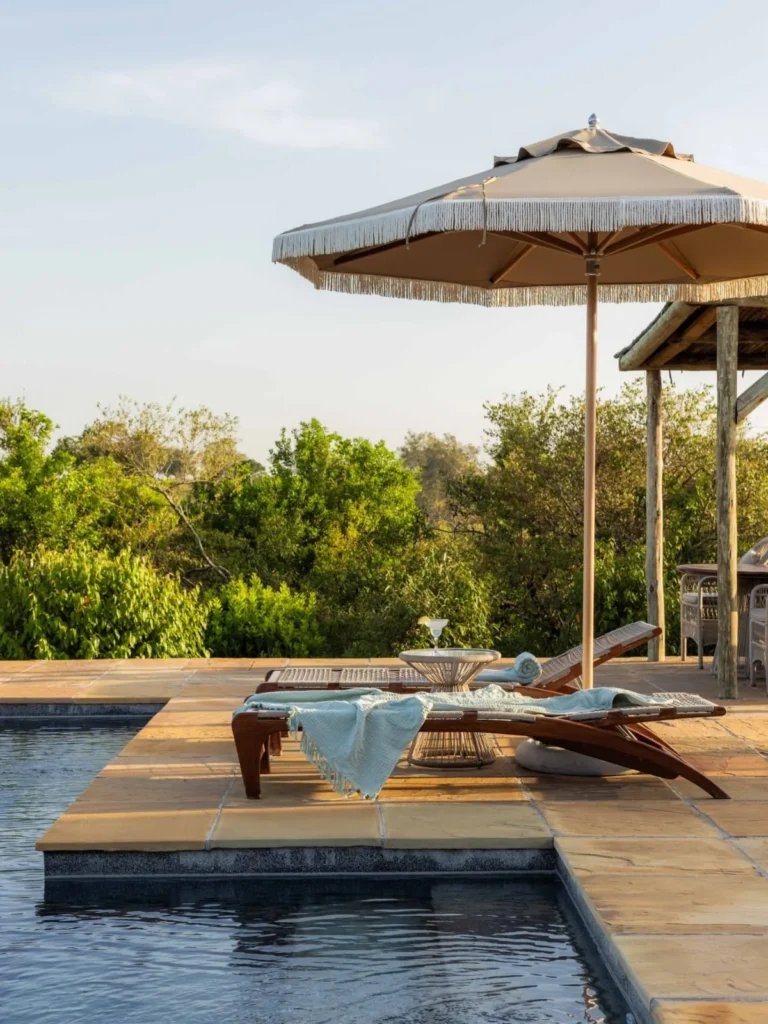 The Ultimate Birding Safari highlights