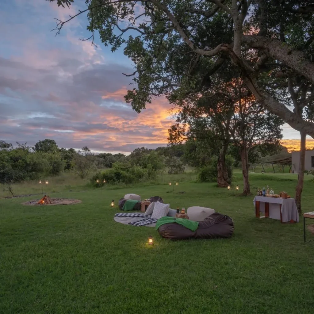Ultimate Great Migration Safari safari
