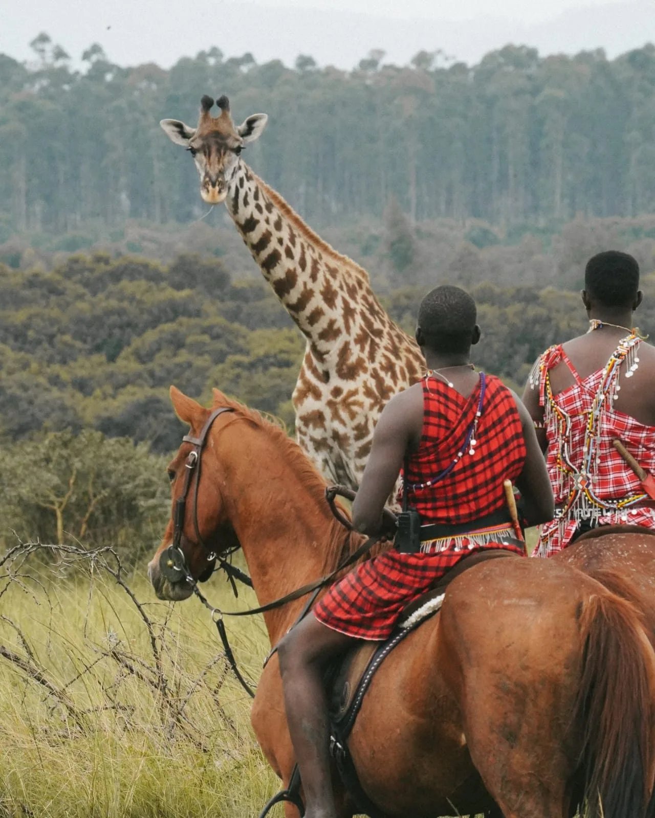 Wild Experiences Private Safari Menu