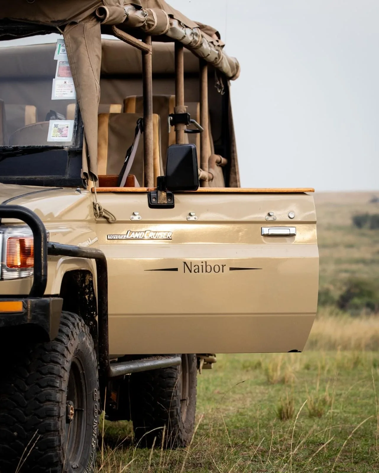 Kenya safari journeys