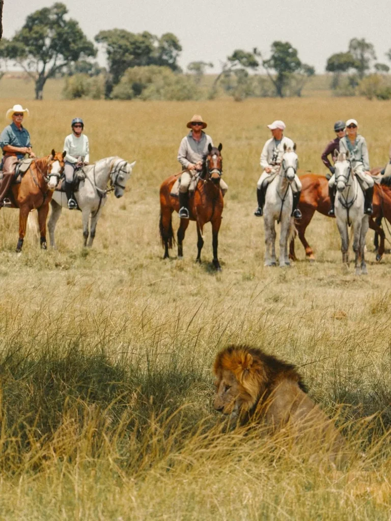 Begin your safari journey