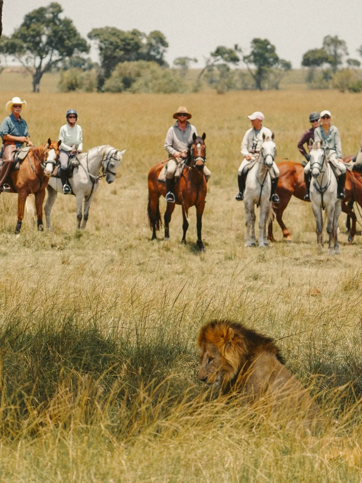 Begin your safari journey